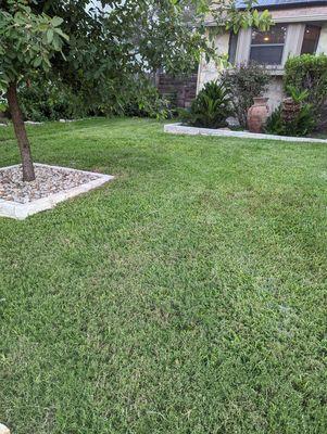 Front yard not a sign of the work. This is about 2 months later. They also dug under my masonry work to install the driplines. Zero damage.