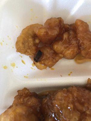 A COCKROACH  in my orange chicken....