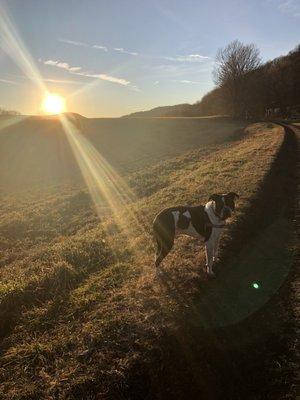 Catskill Scenic Trail