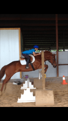 Cedar Lane Stables