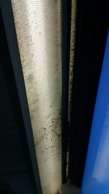 Wonder why your sneezing on the bus?! Just look up!