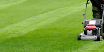 Lawn Mowing