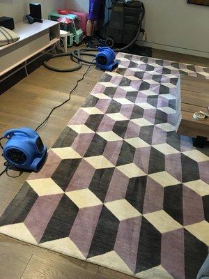 Rug cleaning in house