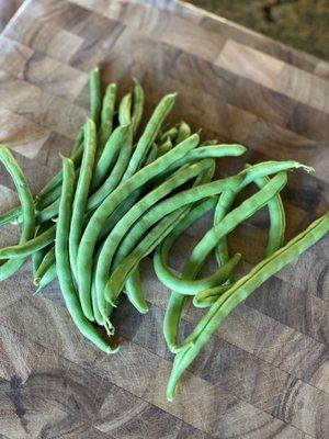 Green beans harvested from tower.