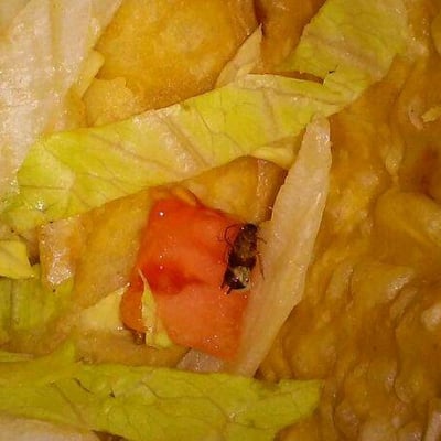 This use to be my favorite  taco place into i found a bug in my food i will not be eating here anymore