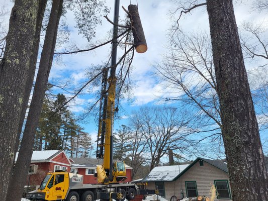 CRANE SERVICES FOR TREE WORK IN MAINE