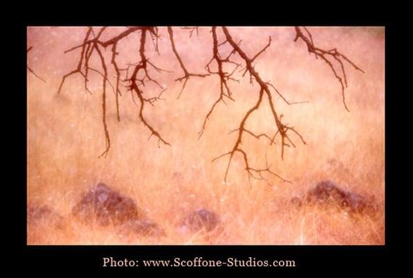 My landscape photography is for sale - please contact my studio for more info.