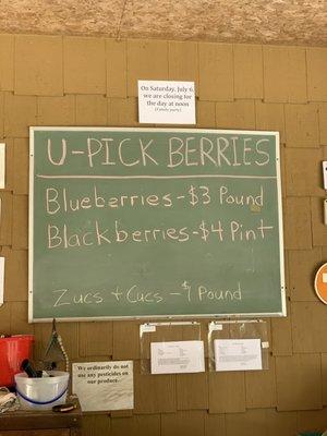 Blueberries & Blackberries On Bluegrass Road