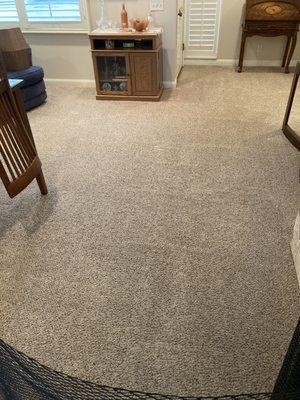 I have never had such a good job done on my carpets - look brand new !