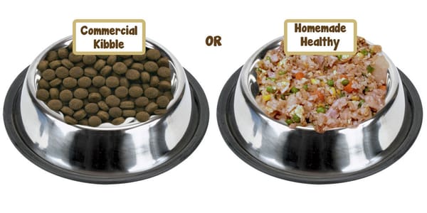 Which food would your dog prefer