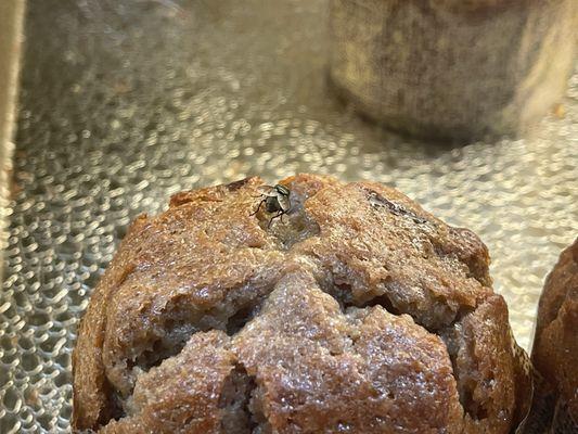 Flies on the pastries