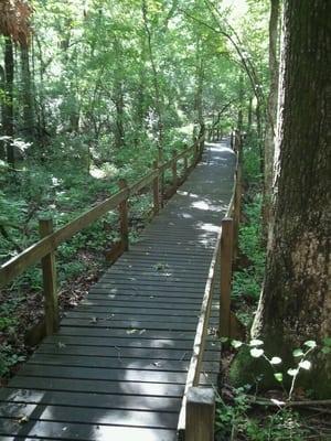 Along the walking trail