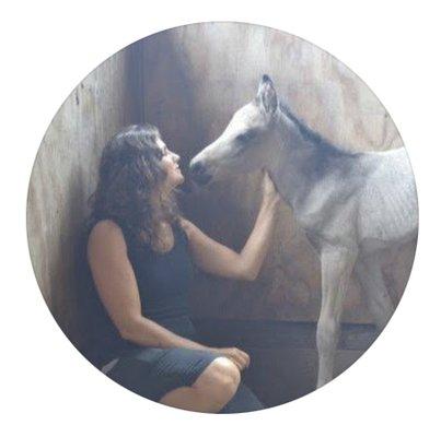 Christine Bravata Ceramics welcomes a new Dunn filly to the farm.