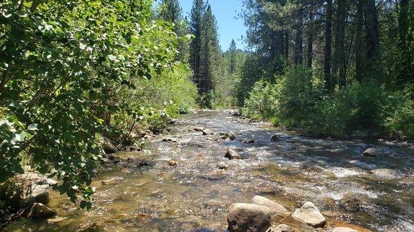 Mores Creek from site 8