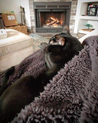 Keeping pets cozy in their own homes!