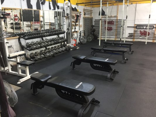 Benches and Dumbbells up to 130lbs, with plate loadable handles to go even heavier if need be