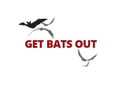 Get Bats Out Brandon