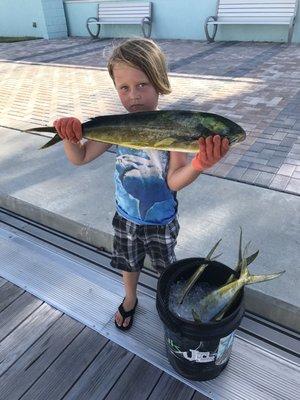 Awesome helper!!! Look at all those Mahi!!!