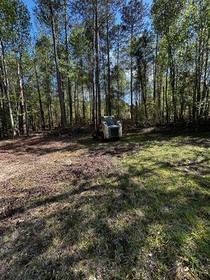 Akira Tree & Land Clearing Services