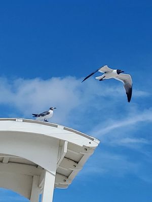 Best shot I took , while enjoying the beach.