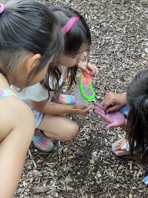 Jen's Camp campers exploring nature in our amazing fenced in outdoor space