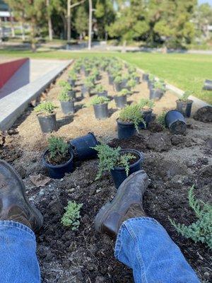 Jason Brainard Landscape Maintenance