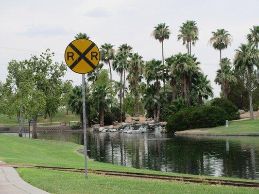 Lake for Fishing in Freestone Park in Gilbert