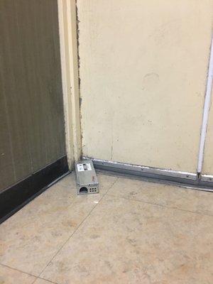 Rat Trap in plain view