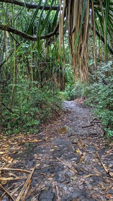 Ha'ena Beach - aka Shipman Beach