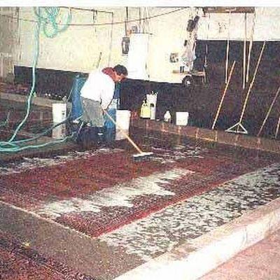 Oriental Rug Cleaning