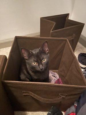 Shadow in a cubby