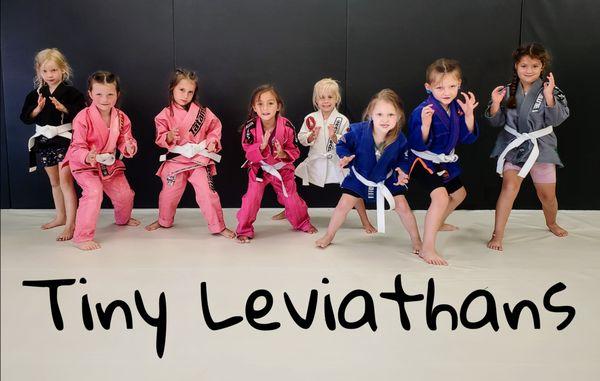 Leviathan Brazilian Jiu-Jitsu Academy