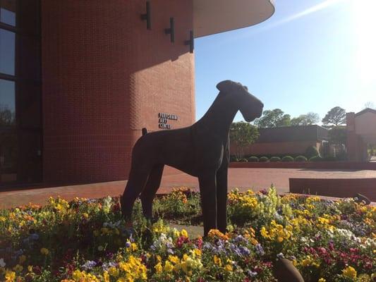 Alma Airedale statue.