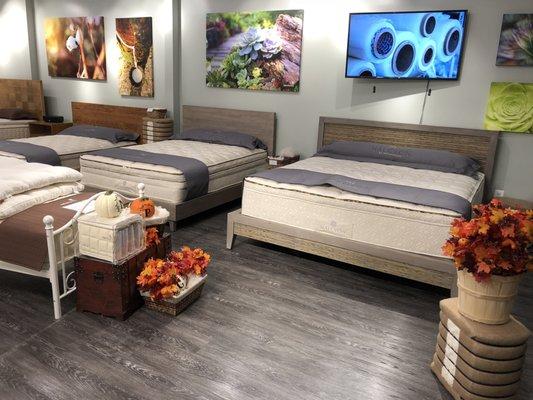 Naturepedic Organic Mattress Gallery Showroom