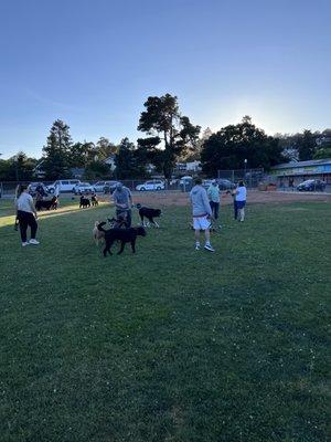 Off Leash Dog Park