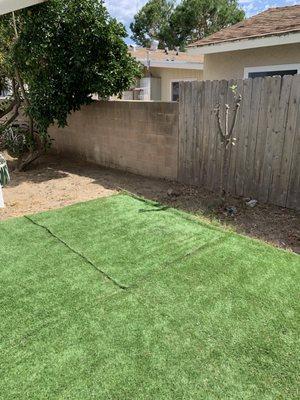 Spiney bougainvillea cleanup and removal After