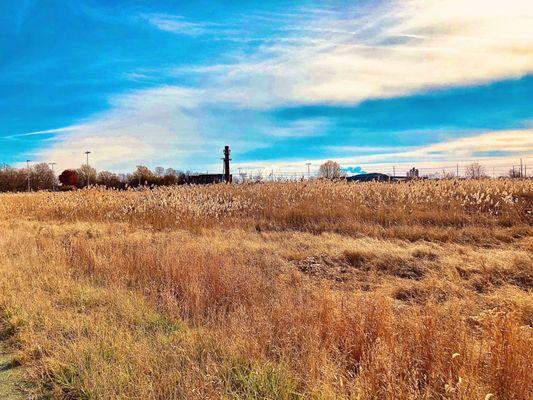 Southbridge Wilmington Wetlands Park