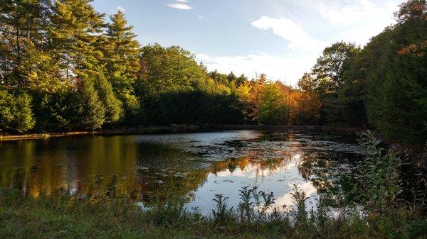 Knight's Pond Preserve