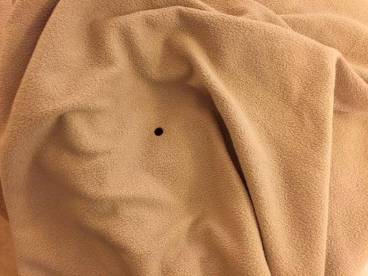 Cigarette burn in blanket. ( in a NON smoking room )