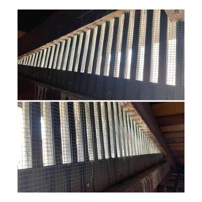 Gable vent screening