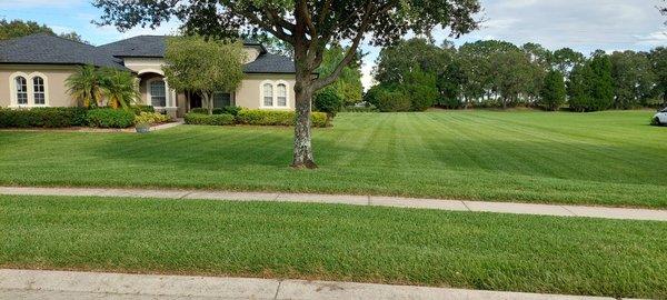 Yard and bush trimming