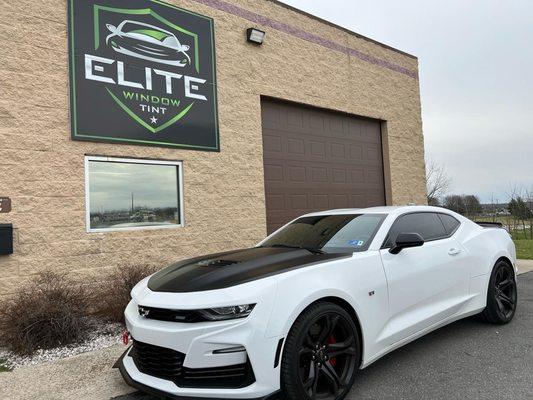 Elite Window Tint