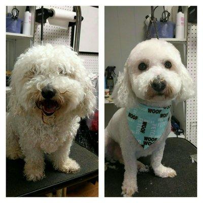 Before and after of this handsome guy