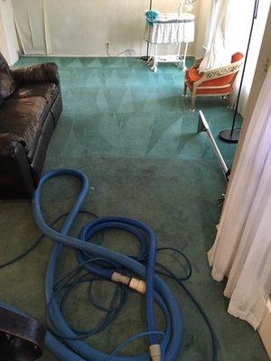 Brave Carpet Cleaning