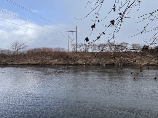 Deerfield river in January. Awesome