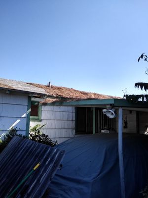 Here had to go on top of house to clean off pine needles from a tree that was cut down a few years ago.