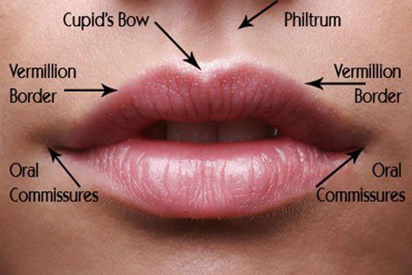 My absolute favorite area to treat is...*drum roll*...the LIPS!