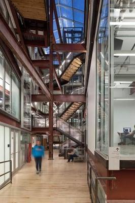 The steel building structure in the middle of the atrium is what existed before our intervention.