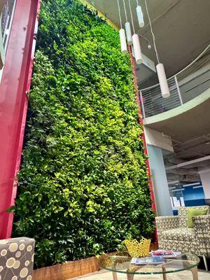 It's a live indoor plant wall... totally fitting for the ADA. They certainly bring life to so many people!'