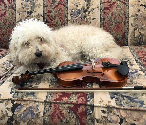 Gina loves to watch violin lessons